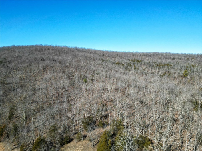 1 Off Hwy D, Ironton, Missouri 63650, ,Farm,For Sale,Off Hwy D,MAR25003825