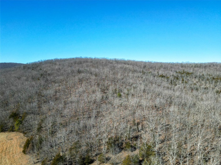 1 Off Hwy D, Ironton, Missouri 63650, ,Farm,For Sale,Off Hwy D,MAR25003825