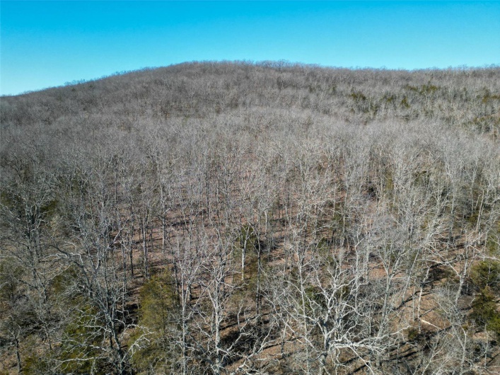 1 Off Hwy D, Ironton, Missouri 63650, ,Farm,For Sale,Off Hwy D,MAR25003825
