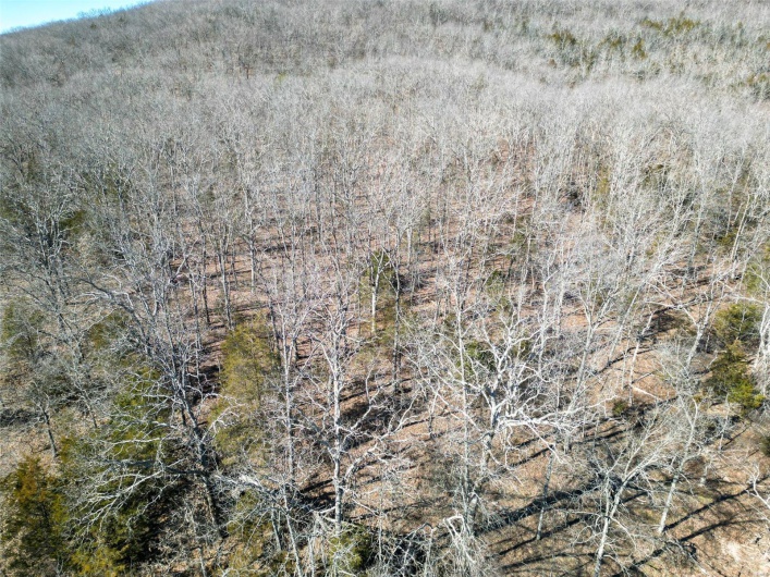 1 Off Hwy D, Ironton, Missouri 63650, ,Farm,For Sale,Off Hwy D,MAR25003825