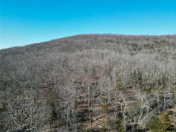 1 Off Hwy D, Ironton, Missouri 63650, ,Farm,For Sale,Off Hwy D,MAR25003825