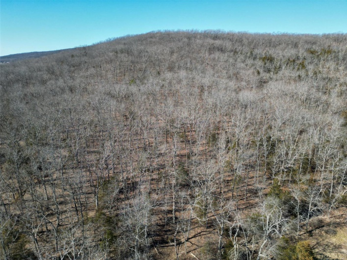 1 Off Hwy D, Ironton, Missouri 63650, ,Farm,For Sale,Off Hwy D,MAR25003825