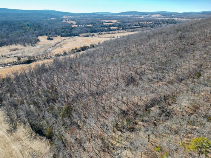 1 Off Hwy D, Ironton, Missouri 63650, ,Farm,For Sale,Off Hwy D,MAR25003825
