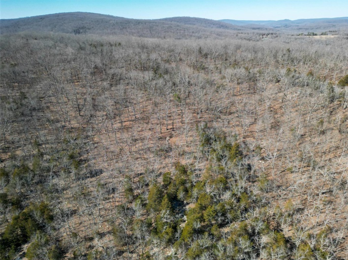 1 Off Hwy D, Ironton, Missouri 63650, ,Farm,For Sale,Off Hwy D,MAR25003825