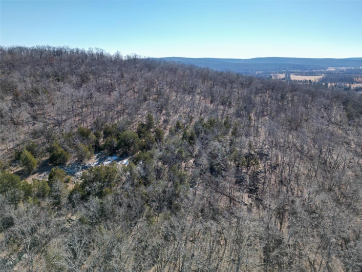 1 Off Hwy D, Ironton, Missouri 63650, ,Farm,For Sale,Off Hwy D,MAR25003825