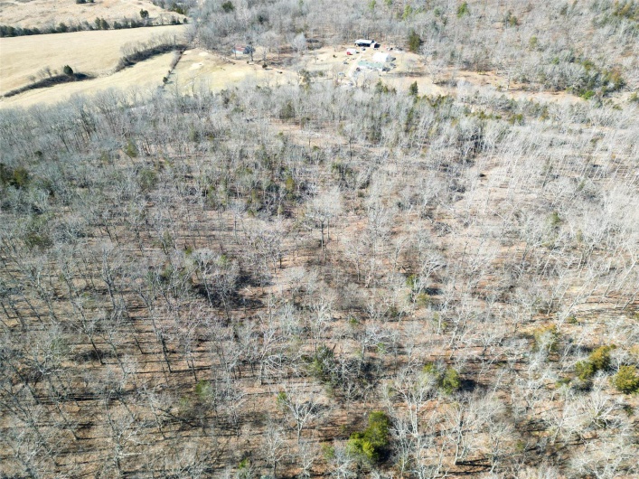 1 Off Hwy D, Ironton, Missouri 63650, ,Farm,For Sale,Off Hwy D,MAR25003825