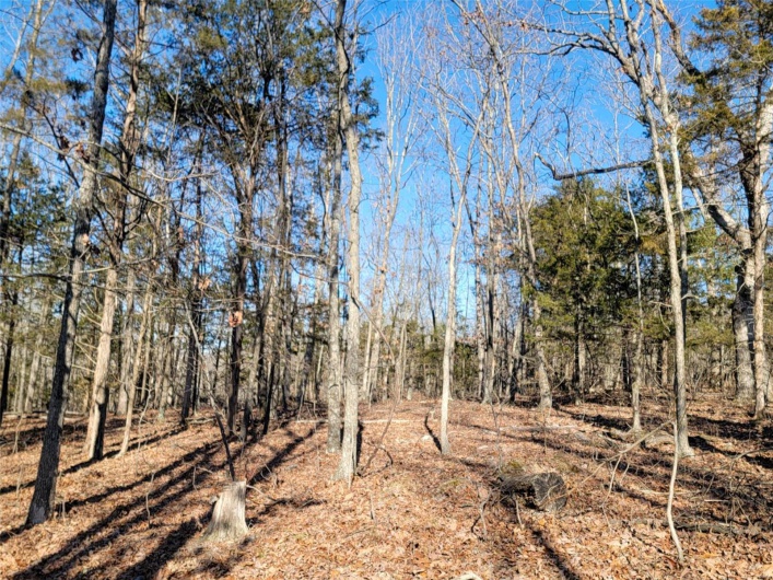 1 Off Hwy D, Ironton, Missouri 63650, ,Farm,For Sale,Off Hwy D,MAR25003825