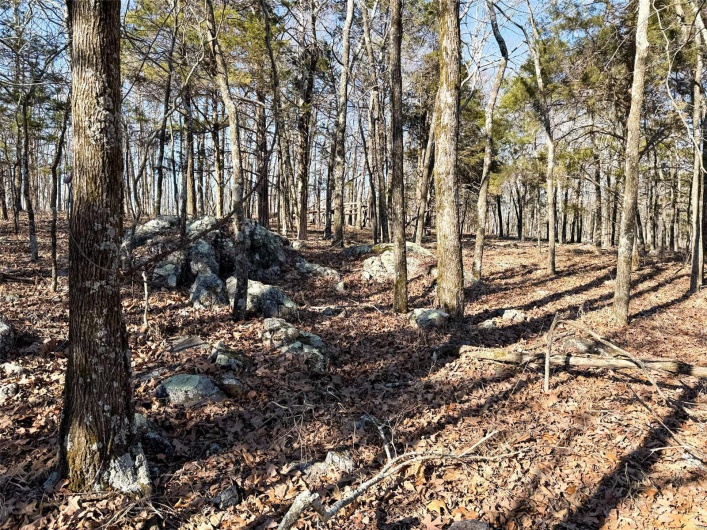 1 Off Hwy D, Ironton, Missouri 63650, ,Farm,For Sale,Off Hwy D,MAR25003825