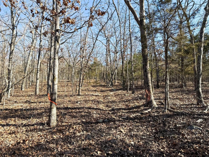 1 Off Hwy D, Ironton, Missouri 63650, ,Farm,For Sale,Off Hwy D,MAR25003825