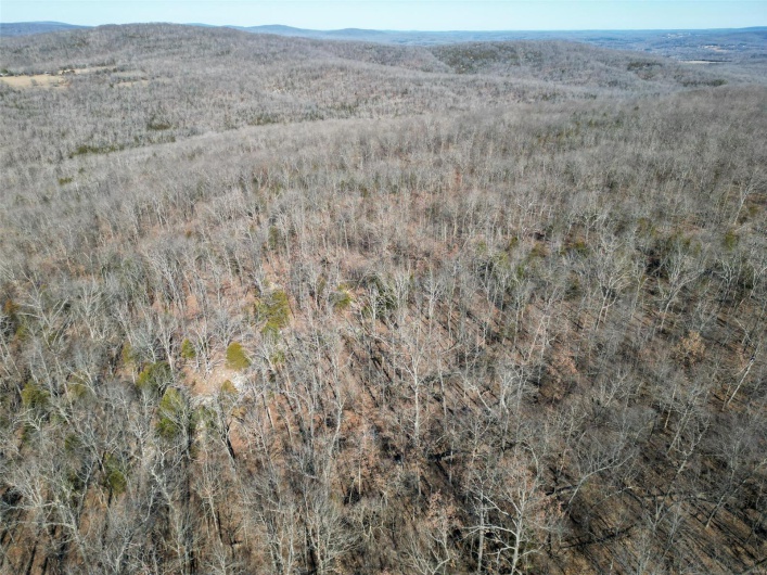 1 Off Hwy D, Ironton, Missouri 63650, ,Farm,For Sale,Off Hwy D,MAR25003825