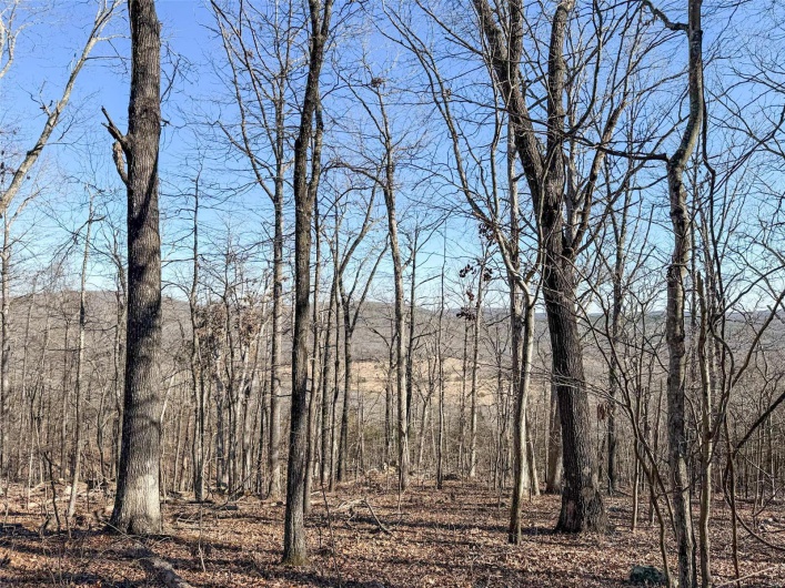 1 Off Hwy D, Ironton, Missouri 63650, ,Farm,For Sale,Off Hwy D,MAR25003825