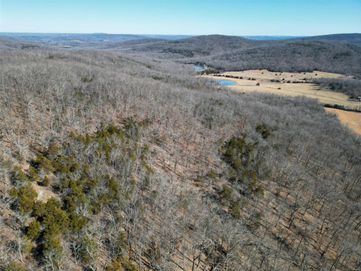1 Off Hwy D, Ironton, Missouri 63650, ,Farm,For Sale,Off Hwy D,MAR25003825