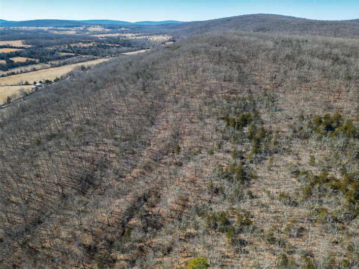 1 Off Hwy D, Ironton, Missouri 63650, ,Farm,For Sale,Off Hwy D,MAR25003825