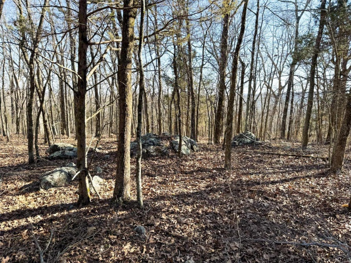 1 Off Hwy D, Ironton, Missouri 63650, ,Farm,For Sale,Off Hwy D,MAR25003825