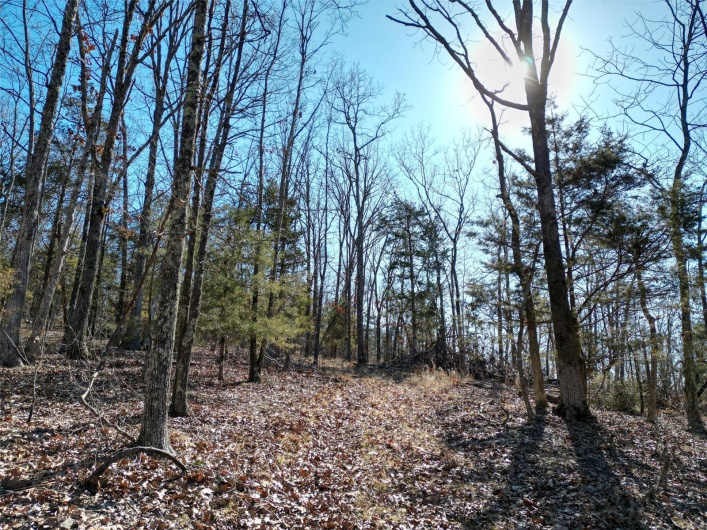 1 Off Hwy D, Ironton, Missouri 63650, ,Farm,For Sale,Off Hwy D,MAR25003825