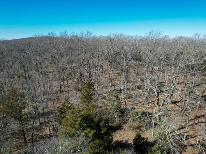 1 Off Hwy D, Ironton, Missouri 63650, ,Farm,For Sale,Off Hwy D,MAR25003825