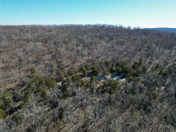 1 Off Hwy D, Ironton, Missouri 63650, ,Farm,For Sale,Off Hwy D,MAR25003825