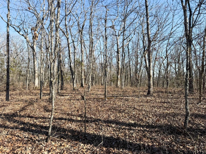 1 Off Hwy D, Ironton, Missouri 63650, ,Farm,For Sale,Off Hwy D,MAR25003825