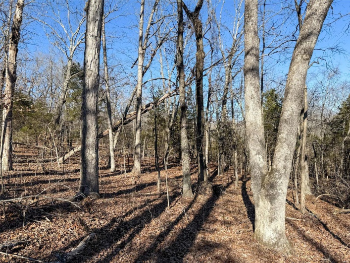 1 Off Hwy D, Ironton, Missouri 63650, ,Farm,For Sale,Off Hwy D,MAR25003825