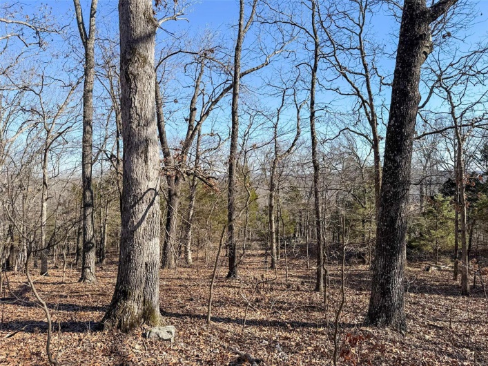 1 Off Hwy D, Ironton, Missouri 63650, ,Farm,For Sale,Off Hwy D,MAR25003825