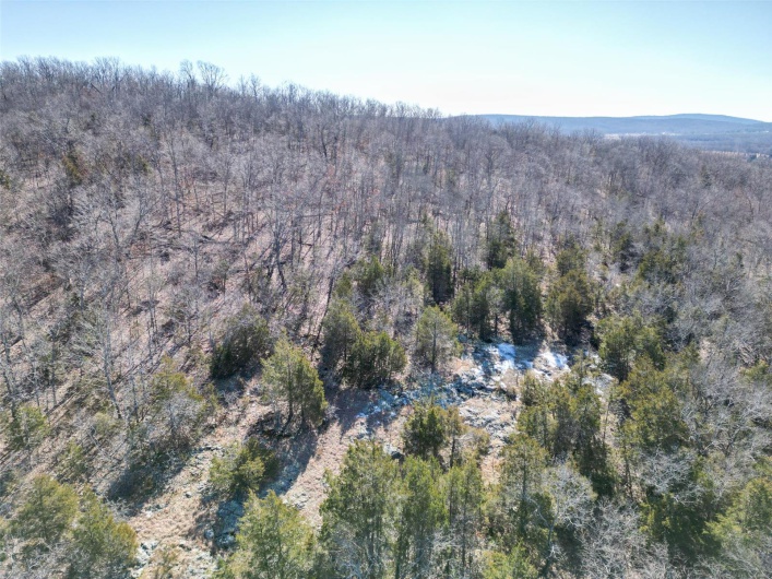 1 Off Hwy D, Ironton, Missouri 63650, ,Farm,For Sale,Off Hwy D,MAR25003825