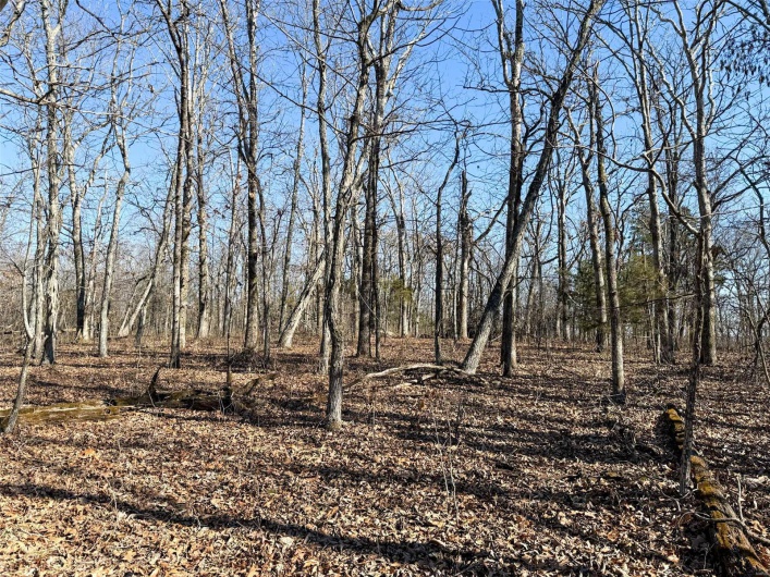 1 Off Hwy D, Ironton, Missouri 63650, ,Farm,For Sale,Off Hwy D,MAR25003825