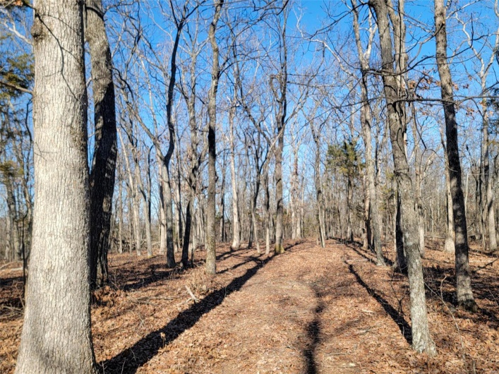 1 Off Hwy D, Ironton, Missouri 63650, ,Farm,For Sale,Off Hwy D,MAR25003825