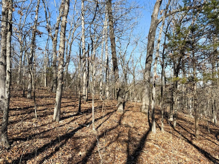 1 Off Hwy D, Ironton, Missouri 63650, ,Farm,For Sale,Off Hwy D,MAR25003825