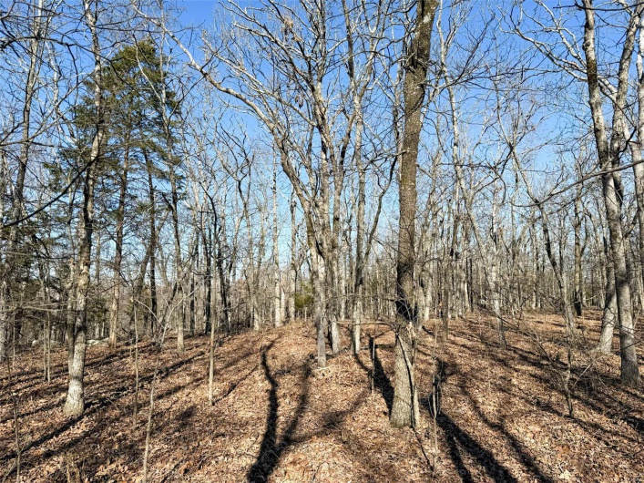 1 Off Hwy D, Ironton, Missouri 63650, ,Farm,For Sale,Off Hwy D,MAR25003825