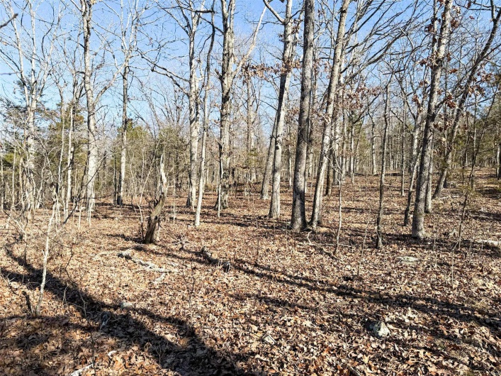 1 Off Hwy D, Ironton, Missouri 63650, ,Farm,For Sale,Off Hwy D,MAR25003825