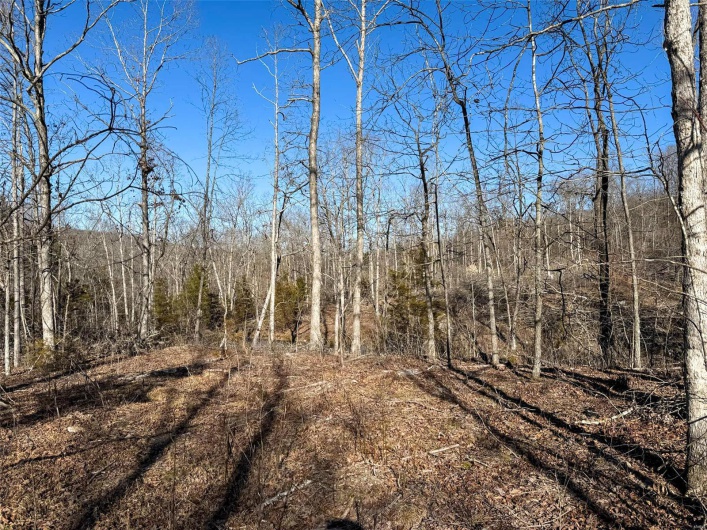 1 Off Hwy D, Ironton, Missouri 63650, ,Farm,For Sale,Off Hwy D,MAR25003825