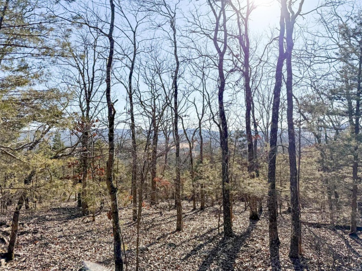 1 Off Hwy D, Ironton, Missouri 63650, ,Farm,For Sale,Off Hwy D,MAR25003825