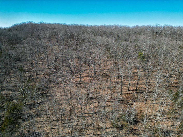 1 Off Hwy D, Ironton, Missouri 63650, ,Farm,For Sale,Off Hwy D,MAR25003825