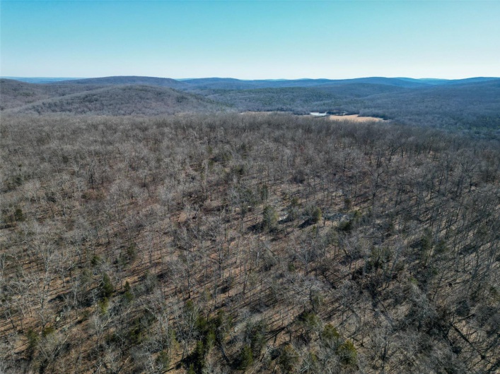 1 Off Hwy D, Ironton, Missouri 63650, ,Farm,For Sale,Off Hwy D,MAR25003825