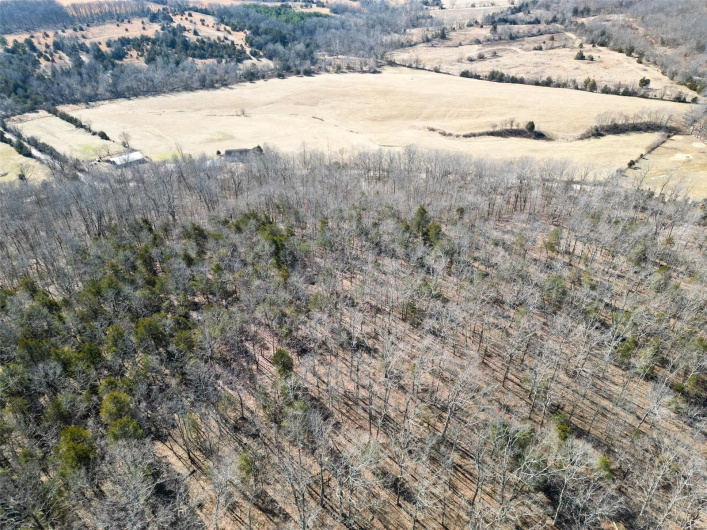 1 Off Hwy D, Ironton, Missouri 63650, ,Farm,For Sale,Off Hwy D,MAR25003825