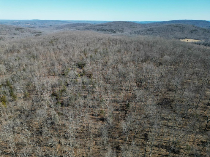 1 Off Hwy D, Ironton, Missouri 63650, ,Farm,For Sale,Off Hwy D,MAR25003825