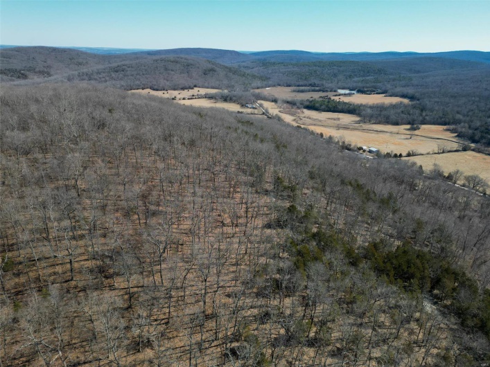 1 Off Hwy D, Ironton, Missouri 63650, ,Farm,For Sale,Off Hwy D,MAR25003825