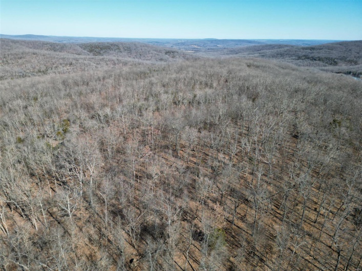 1 Off Hwy D, Ironton, Missouri 63650, ,Farm,For Sale,Off Hwy D,MAR25003825