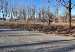 0 Tamarak Lane, Dexter, Missouri 63841, ,Land,For Sale,Tamarak,MAR25004773