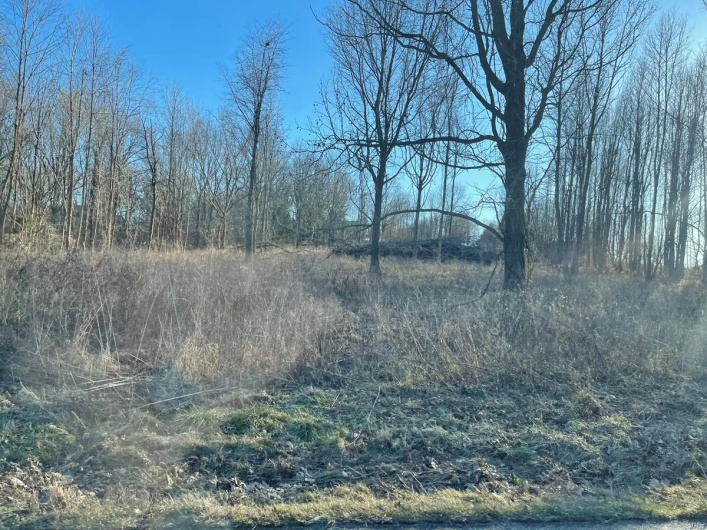 0 Tamarak Lane, Dexter, Missouri 63841, ,Land,For Sale,Tamarak,MAR25004773