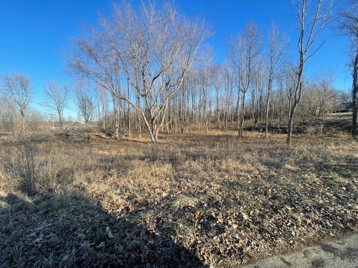 0 Tamarak Lane, Dexter, Missouri 63841, ,Land,For Sale,Tamarak,MAR25004773