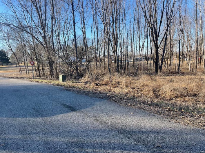 0 Tamarak Lane, Dexter, Missouri 63841, ,Land,For Sale,Tamarak,MAR25004773