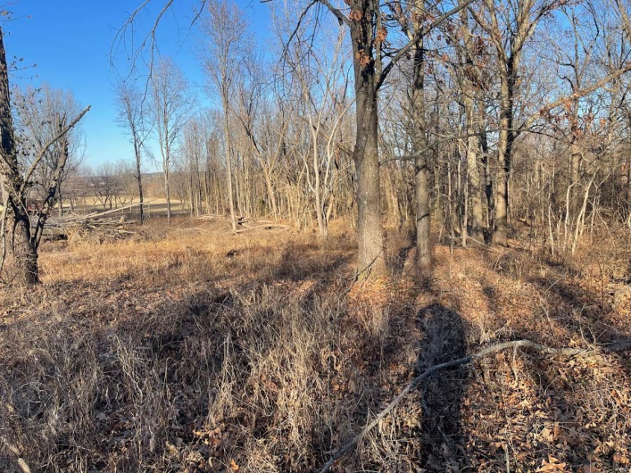 0 Tamarak Lane, Dexter, Missouri 63841, ,Land,For Sale,Tamarak,MAR25004773