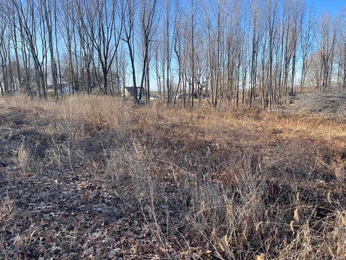 0 Tamarak Lane, Dexter, Missouri 63841, ,Land,For Sale,Tamarak,MAR25004773