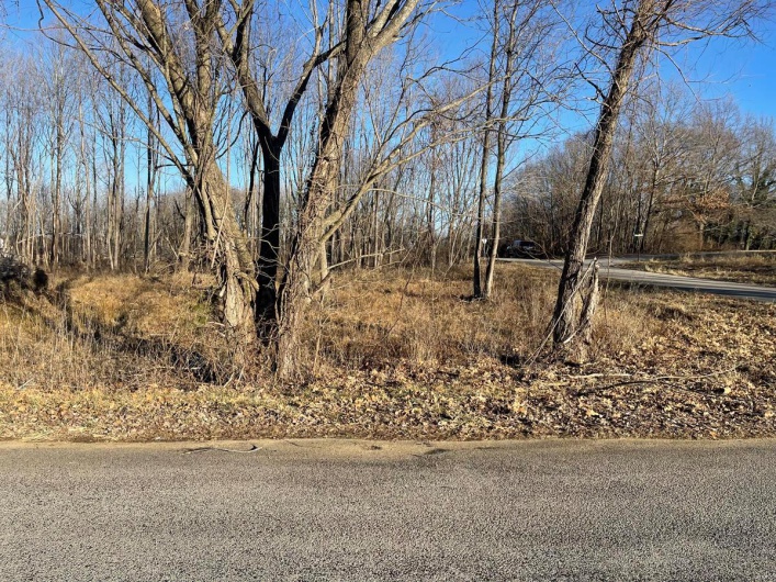 0 Tamarak Lane, Dexter, Missouri 63841, ,Land,For Sale,Tamarak,MAR25004773