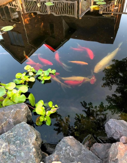 Exterior details featuring Summer view of pond
