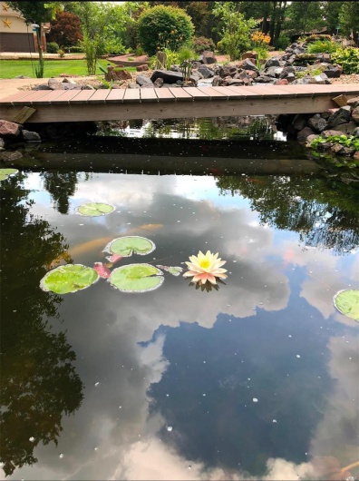 Exterior details featuring Summer view of pond