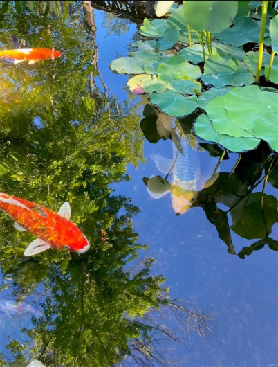 Exterior details featuring Summer view of pond