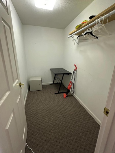 Spacious closet with dark carpet