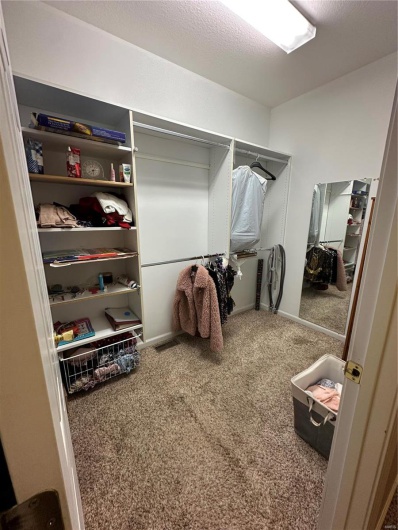Spacious closet featuring carpet floors
